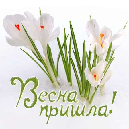 "Весна пришла. Международный женский день - 8 марта"