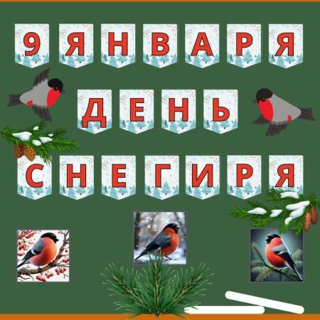 9 Января - день снегиря!