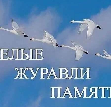 Акция "Белые журавли памяти". 