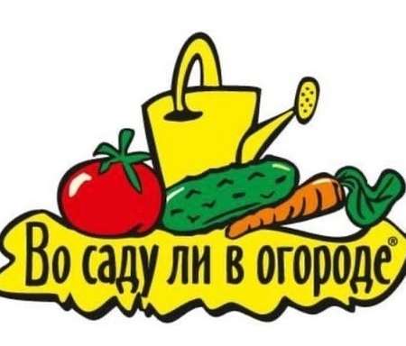 Проект "Во саду ли, в огороде". 
