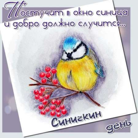 Синичкин день 