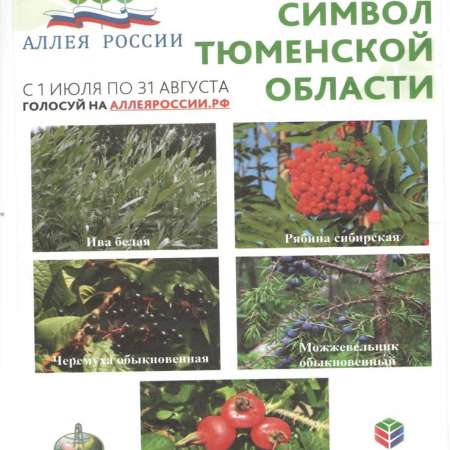 АЛЛЕЯ РОССИИ