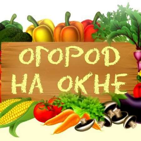"Чудо-огород на окне"