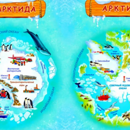 "От полюса до полюса"