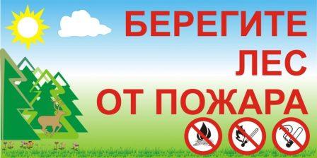 "Берегите лес от пожара"