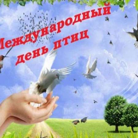 "Международный день птиц"